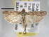  ( - BIOUG06258-A03)  @14 [ ] CreativeCommons - Attribution (2013) CBG Photography Group Centre for Biodiversity Genomics