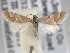  ( - BIOUG06258-B06)  @13 [ ] CreativeCommons - Attribution (2013) CBG Photography Group Centre for Biodiversity Genomics