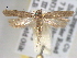  ( - BIOUG06258-G01)  @14 [ ] CreativeCommons - Attribution (2013) CBG Photography Group Centre for Biodiversity Genomics