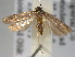  ( - BIOUG06258-G04)  @13 [ ] CreativeCommons - Attribution (2013) CBG Photography Group Centre for Biodiversity Genomics