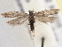  ( - BIOUG09820-E11)  @14 [ ] CreativeCommons - Attribution (2014) CBG Photography Group Centre for Biodiversity Genomics