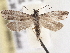  ( - BIOUG09820-G10)  @13 [ ] CreativeCommons - Attribution (2014) CBG Photography Group Centre for Biodiversity Genomics
