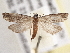  ( - BIOUG09821-E03)  @14 [ ] CreativeCommons - Attribution (2014) CBG Photography Group Centre for Biodiversity Genomics