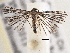  ( - BIOUG09821-E04)  @14 [ ] CreativeCommons - Attribution (2014) CBG Photography Group Centre for Biodiversity Genomics