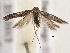  ( - BIOUG09821-E09)  @14 [ ] CreativeCommons - Attribution (2014) CBG Photography Group Centre for Biodiversity Genomics