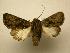  ( - 07-CRBS-870)  @14 [ ] Unspecified (default): All Rights Reserved  Unspecified Unspecified
