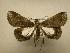  ( - 07-CRBS-873)  @14 [ ] Unspecified (default): All Rights Reserved  Unspecified Unspecified