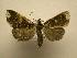  ( - 07-CRBS-904)  @14 [ ] Unspecified (default): All Rights Reserved  Unspecified Unspecified
