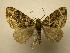  ( - 07-CRBS-984)  @14 [ ] Unspecified (default): All Rights Reserved  Unspecified Unspecified