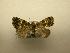  (Eustrotia BioLep721 - 08-CRBS-054)  @14 [ ] Unspecified (default): All Rights Reserved  Unspecified Unspecified