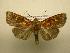  ( - 07-CRBS-1091)  @14 [ ] Unspecified (default): All Rights Reserved  Unspecified Unspecified