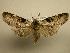  ( - 07-CRBS-1097)  @14 [ ] Unspecified (default): All Rights Reserved  Unspecified Unspecified