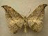  ( - 07-CRBS-1152)  @14 [ ] Unspecified (default): All Rights Reserved  Unspecified Unspecified