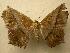  ( - 07-CRBS-1166)  @13 [ ] Unspecified (default): All Rights Reserved  Unspecified Unspecified