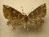  ( - 07-CRBS-1186)  @13 [ ] Unspecified (default): All Rights Reserved  Unspecified Unspecified