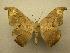  ( - 07-CRBS-1189)  @13 [ ] Unspecified (default): All Rights Reserved  Unspecified Unspecified
