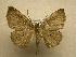  ( - 07-CRBS-1241)  @14 [ ] Unspecified (default): All Rights Reserved  Unspecified Unspecified