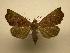  ( - 08-CRBS-101)  @14 [ ] Unspecified (default): All Rights Reserved  Unspecified Unspecified