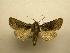  ( - 08-CRBS-116)  @13 [ ] Unspecified (default): All Rights Reserved  Unspecified Unspecified