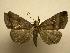  ( - 08-CRBS-121)  @14 [ ] Unspecified (default): All Rights Reserved  Unspecified Unspecified