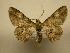  ( - 08-CRBS-153)  @11 [ ] Unspecified (default): All Rights Reserved  Unspecified Unspecified