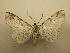  ( - 08-CRBS-157)  @13 [ ] Unspecified (default): All Rights Reserved  Unspecified Unspecified