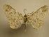  ( - 08-CRBS-160)  @13 [ ] Unspecified (default): All Rights Reserved  Unspecified Unspecified