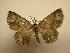  ( - 08-CRBS-172)  @14 [ ] Unspecified (default): All Rights Reserved  Unspecified Unspecified
