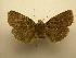  ( - 08-CRBS-185)  @12 [ ] Unspecified (default): All Rights Reserved  Unspecified Unspecified