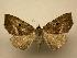  ( - 08-CRBS-192)  @11 [ ] Unspecified (default): All Rights Reserved  Unspecified Unspecified