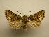  ( - 08-CRBS-199)  @11 [ ] Unspecified (default): All Rights Reserved  Unspecified Unspecified