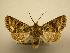  ( - 08-CRBS-200)  @13 [ ] Unspecified (default): All Rights Reserved  Unspecified Unspecified