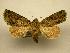  (Paratrachea Poole02 - 08-CRBS-210)  @15 [ ] Unspecified (default): All Rights Reserved  Unspecified Unspecified