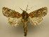  ( - 08-CRBS-242)  @14 [ ] Unspecified (default): All Rights Reserved  Unspecified Unspecified