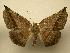  ( - 08-CRBS-249)  @14 [ ] Unspecified (default): All Rights Reserved  Unspecified Unspecified