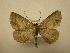  ( - 08-CRBS-321)  @14 [ ] Unspecified (default): All Rights Reserved  Unspecified Unspecified