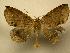  ( - 08-CRBS-457)  @13 [ ] Unspecified (default): All Rights Reserved  Unspecified Unspecified