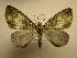  ( - 08-CRBS-506)  @13 [ ] Unspecified (default): All Rights Reserved  Unspecified Unspecified