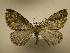  ( - 08-CRBS-510)  @13 [ ] Unspecified (default): All Rights Reserved  Unspecified Unspecified