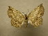  ( - 09-CRBS-470)  @13 [ ] Unspecified (default): All Rights Reserved  Unspecified Unspecified