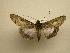  ( - 08-CRBS-581)  @14 [ ] Unspecified (default): All Rights Reserved  Unspecified Unspecified