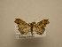  (Lascoria Sullivan1351 - 08-CRBS-664)  @13 [ ] Unspecified (default): All Rights Reserved  Unspecified Unspecified