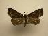  ( - 08-CRBS-667)  @14 [ ] Unspecified (default): All Rights Reserved  Unspecified Unspecified