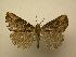  ( - 08-CRBS-678)  @13 [ ] Unspecified (default): All Rights Reserved  Unspecified Unspecified