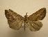  ( - 08-CRBS-679)  @14 [ ] Unspecified (default): All Rights Reserved  Unspecified Unspecified