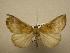  ( - 08-CRBS-681)  @13 [ ] Unspecified (default): All Rights Reserved  Unspecified Unspecified