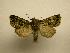  ( - 08-CRBS-785)  @13 [ ] Unspecified (default): All Rights Reserved  Unspecified Unspecified