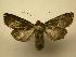  ( - 08-CRBS-828)  @13 [ ] Unspecified (default): All Rights Reserved  Unspecified Unspecified
