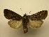  ( - 08-CRBS-835)  @14 [ ] Unspecified (default): All Rights Reserved  Unspecified Unspecified