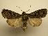  ( - 08-CRBS-841)  @14 [ ] Unspecified (default): All Rights Reserved  Unspecified Unspecified